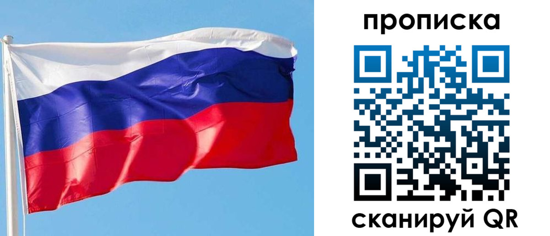 прописка поиск в Пласте